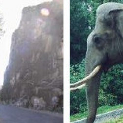 Elephant Rock, clue
