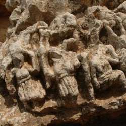 Slonta, Pigs and people