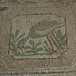 Amphipolis, Basilica A, Mosaic, Detail, Bird