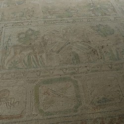 Amphipolis, Basilica A, Mosaic, Detail (lion, fish, octopus)