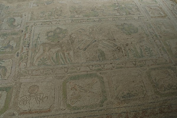 Amphipolis, Basilica A, Mosaic, Detail (lion, fish, octopus)
