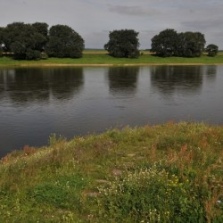 The Elbe at Torgau
