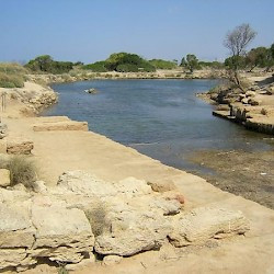 Motya, So-called Cothon
