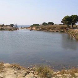 Motya, So-called Cothon