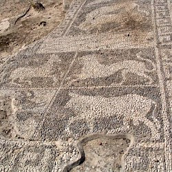 House of the Mosaics, mosaic of a bull and other animals