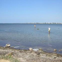 Motya, Port and northern causeway