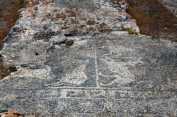 Motya, House of the Mosaics, mosaic of animals
