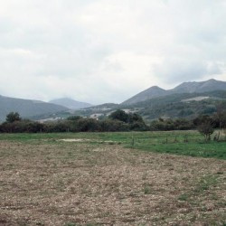 The plain of Sentinum