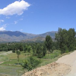 Western access