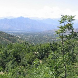 Looking back to the Swat Valley