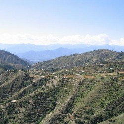 Terraces