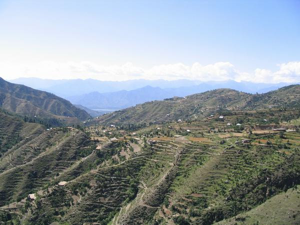 Terraces