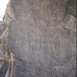 Shahbazgarhi, Large edict