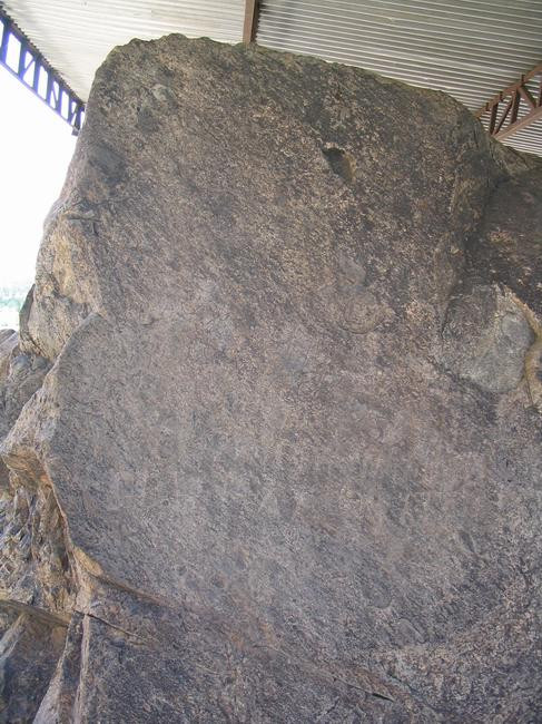 Shahbazgarhi, Large edict