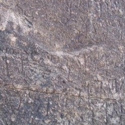 Shahbazgarhi, Large edict, detail