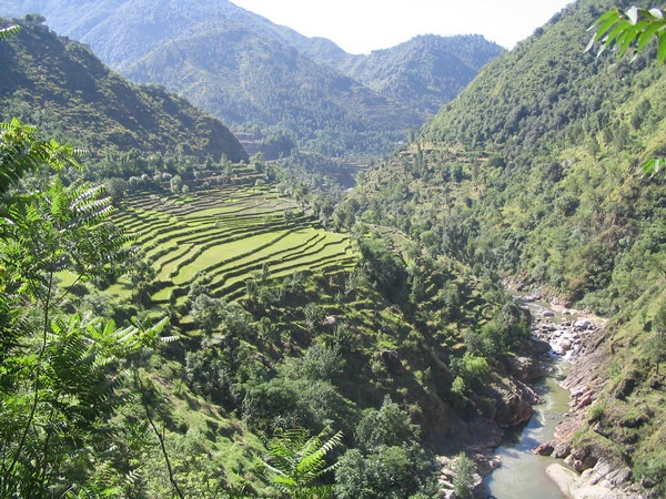 Terraces, south of Aornus