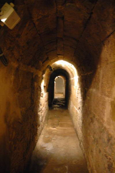 Cologne's Sewer
