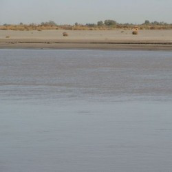 The river Oxus