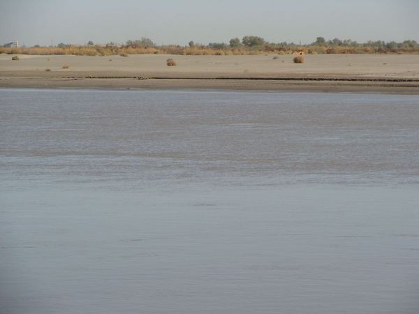 The river Oxus