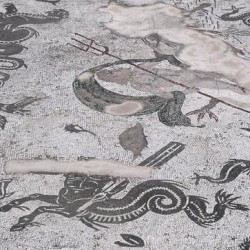 Italica, House of the Neptune Mosaic, Aquatic animals