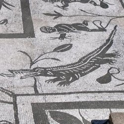 Italica, House of the Neptune Mosaic, Crocodile