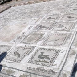 Italica, House of the Birds, Mosaic