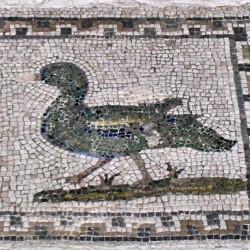 Italica, House of the Birds, mosaic, duck