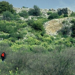 Gla, Mycenean walls