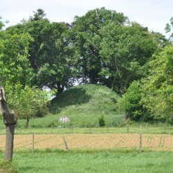 The tumulus of Herderen, east of Tongeren.