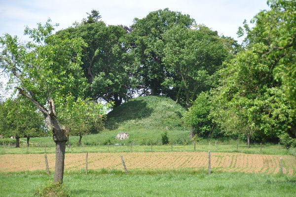 The tumulus of Herderen, east of Tongeren.