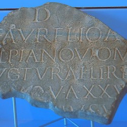 Copy of an inscription from Rome, mentioning Noviomagus