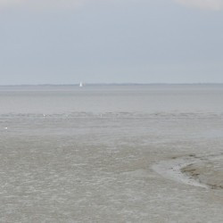 The Eastern Scheldt at Colijnsplaat