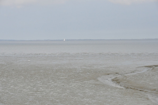The Eastern Scheldt at Colijnsplaat