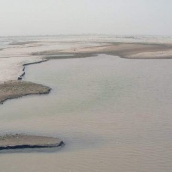 The river Chenab, directly south of Uch