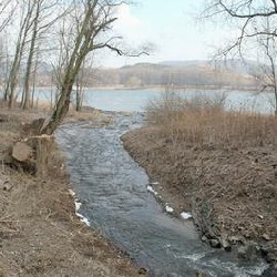 The Vinxtbach emptying itself into the Rhine