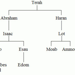 Biblical genealogy