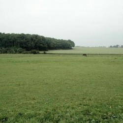 Xanten-Fürstenberg, Today