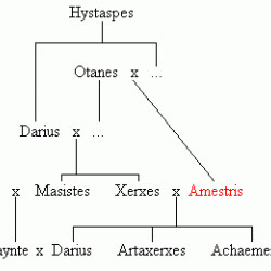 Family tree of Amestris