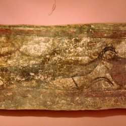 Viminacium, Tomb of the Mona Lisa, Peacock