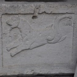 Sirmium, Relief of an aquatic animal