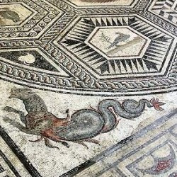 Vaison, Villa du paon, Mosaic