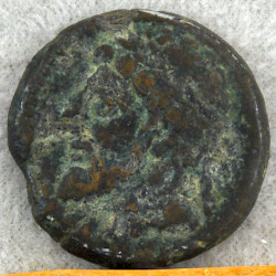Coin of Gulussa