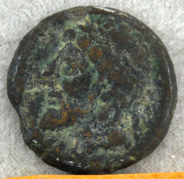 Coin of Gulussa