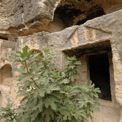 Seleucia in Pieria, Beșikli Mausoleum, Façade