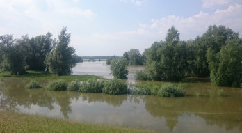 Waal near Druten