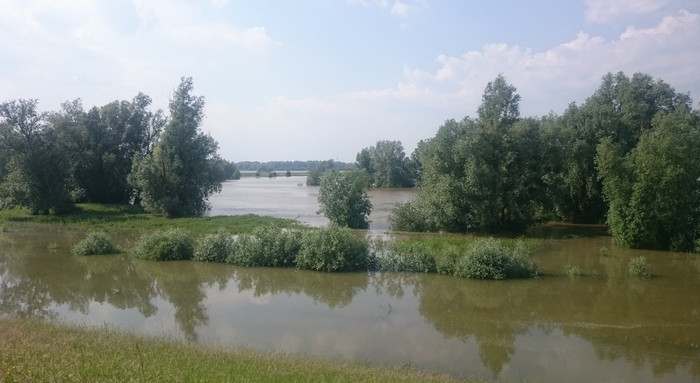 The Waal near Druten