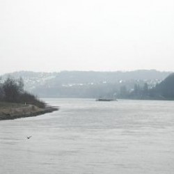 The Rhine near Koblenz