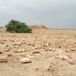 Choga Zanbil, Outer Court, Sherds