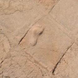 Choga Zanbil, Inner Court, Footprint