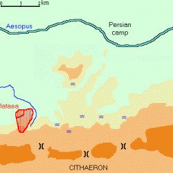 Map of the battle of Plataea
